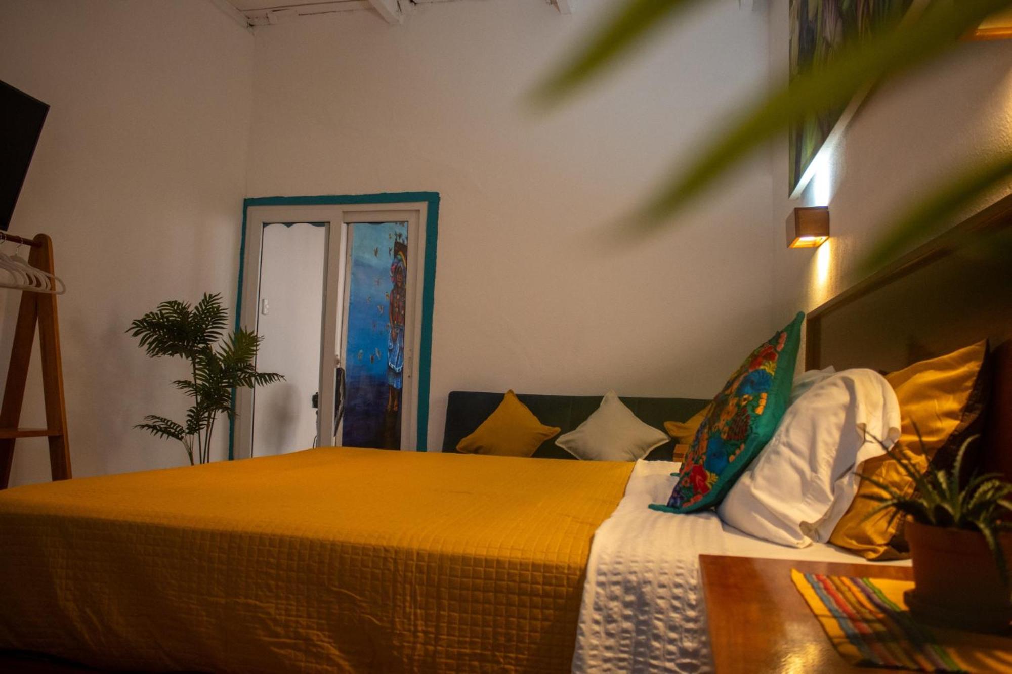 Los Amigos Hostel 플로레스 객실 사진